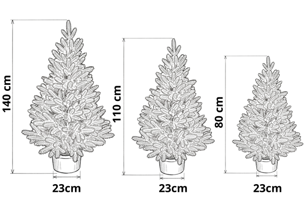 Wymiary choinek w donicach Aspen