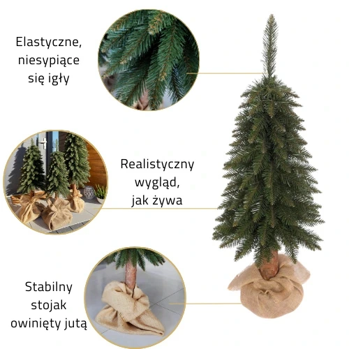 Szczegóły choinki na pniu