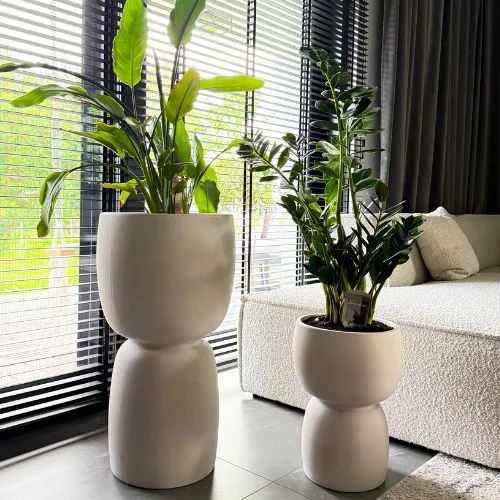 Donice Kielichy kremowe w salonie