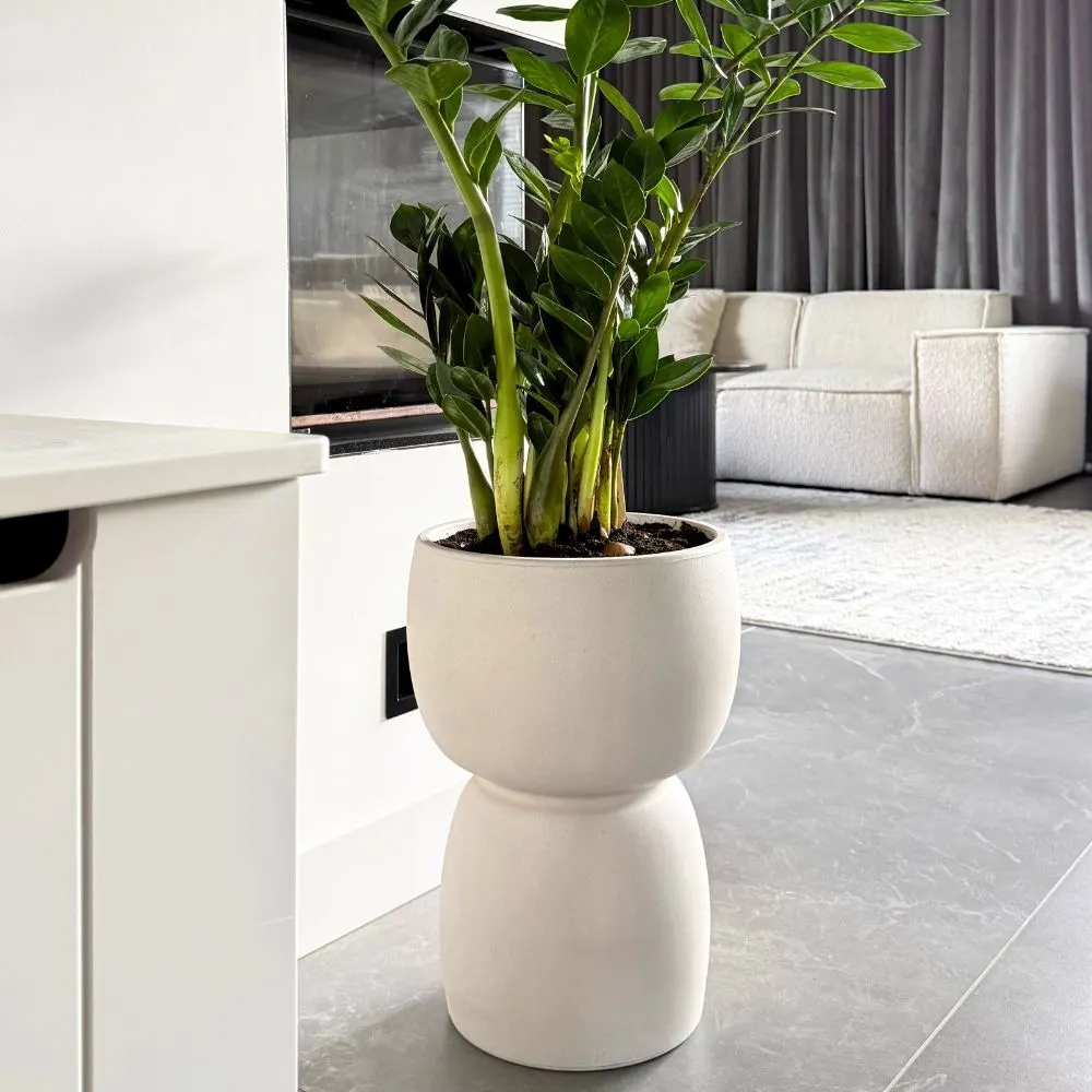 Donica Duala w salonie