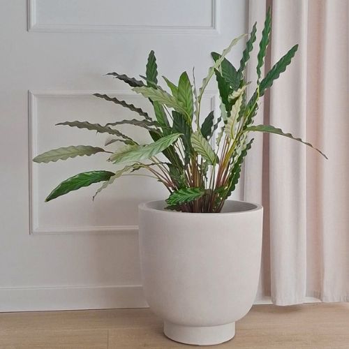 Kremowa donica Vivo w salonie