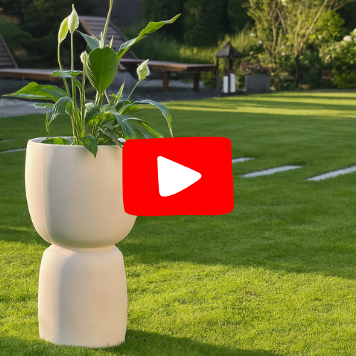 Filmik z donicą Duala