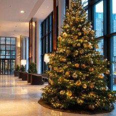 Jak ozdobić świątecznie hotel i dobrać do jego wystroju idealną choinkę?