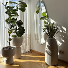 Modne doniczki w 2026 roku! Poznaj te kształty i kolory