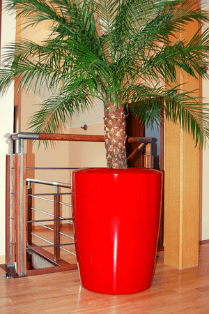 Duża donica okrągła Anakena 125 cm, antracyt