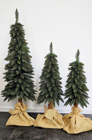 Choinka na pniu Świerk Górski 90 cm