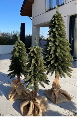 Choinka na pniu Świerk Górski 140 cm