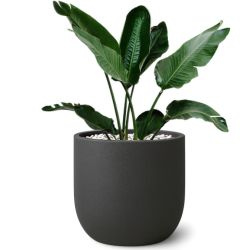 Donica ogrodowa Fero wys. 48x48 cm, antracyt