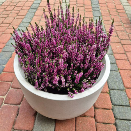 Donica ogrodowa Luna wys. 30x40 cm, kremowy