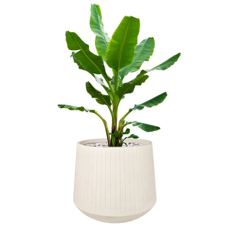 Donica ogrodowa Coro wys. 42x48 cm, kremowa