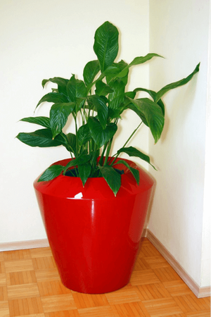 Duża donica okrągła Canico 45 cm z wkładem, antracyt