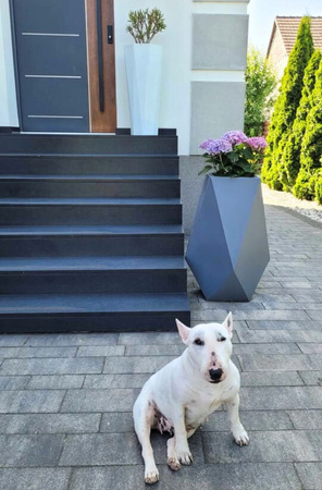 Donica wysoka Octavia 79 cm bez półki, czarna