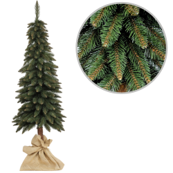 Choinka na pniu Świerk Górski 140 cm