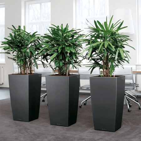 Wysoka donica Lechuza Cubico Premium wys. 41x22 cm, antracyt