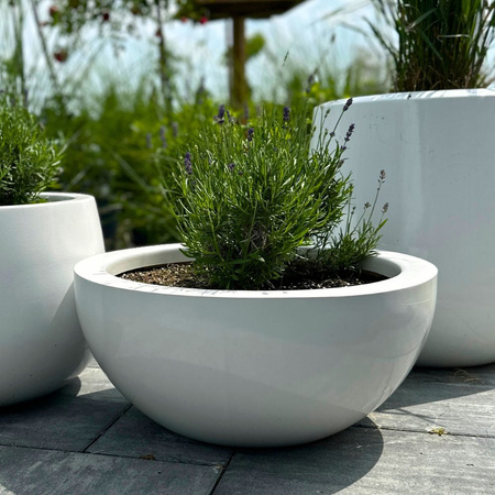 Niska donica misa w połysku Rondi wys. 18x37 cm, szary mat