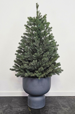 Choinka sztuczna w doniczce Świerk Royal 110 cm LIMITOWANA 100% PE