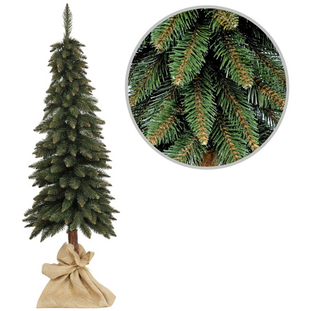 Choinka na pniu Świerk Górski 140 cm