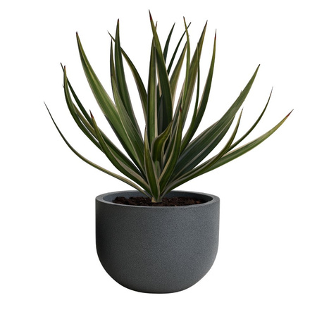 Donica ogrodowa Luna wys. 30x40 cm, antracyt