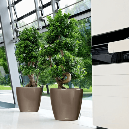 Duża donica  okrągła Lechuza Classico wys. 55x60 cm, biała