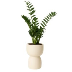 Donica ogrodowa Duala wys. 41x30 cm, kremowa