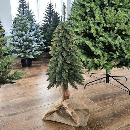 Choinka na pniu Świerk Górski 110 cm