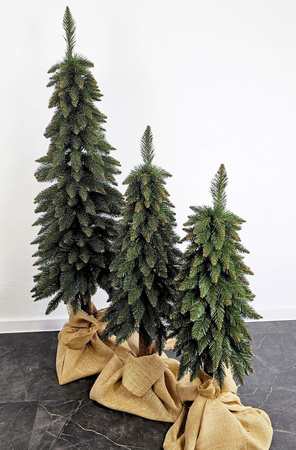 Choinka na pniu Świerk Górski 110 cm