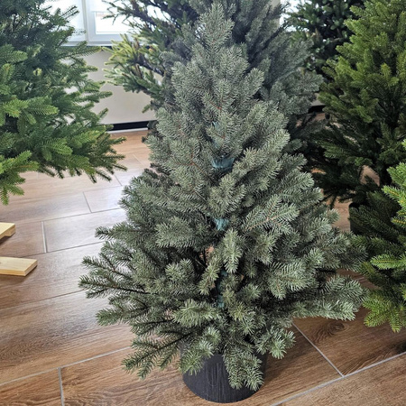 Choinka sztuczna w doniczce Świerk Royal 80 cm LIMITOWANA 100% PE