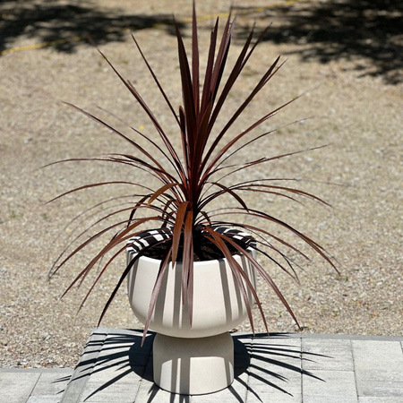 Donica na nóżce Mono wys. 43x40 cm, kremowa