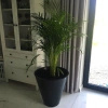 Donica duża okrągła Mercury 60 cm, zielona