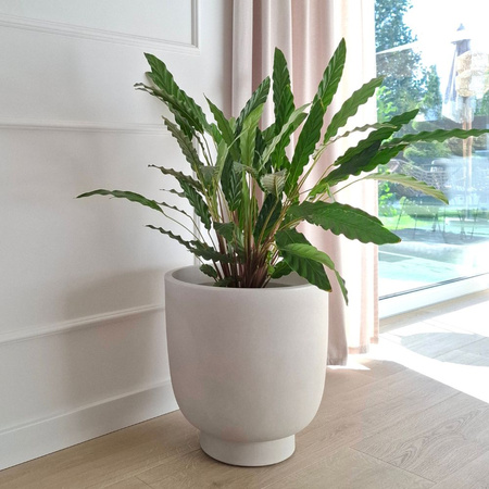 Donica na taras Vivo wys. 26 i 40 cm, kremowy, zestaw