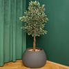 Donice ogrodowe Evolia Slim wys. 50x40 cm i Evolia wys. 36x60x50 cm, antracyt, zestaw