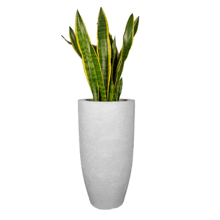 Wysoka donica Tulip  - włókno szklane imitujące beton architektoniczny, wys. 62 cm średnica 32 cm