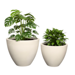 Donica do salonu Aria wys. 32 i 40 cm, kremowa, zestaw