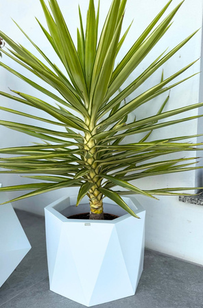 Geometryczna duża donica Ceres 30 cm, czarna