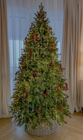 Choinka sztuczna ze stelażem Świerk Norweski 180 cm 100% PE