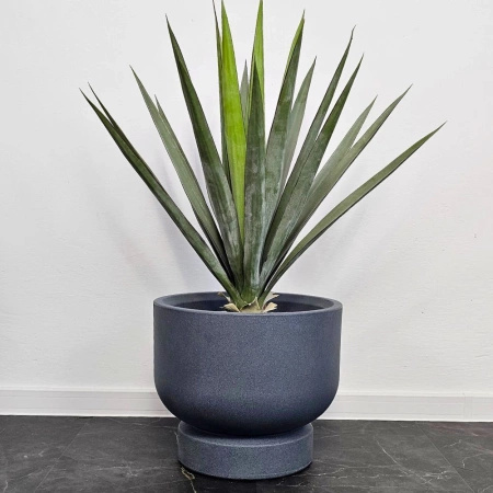 Donica kielich Baso wys. 33 i 51 cm, antracyt, zestaw