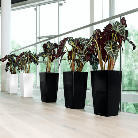 Wysoka donica Lechuza Cubico Premium wys. 94x50 cm, czarna