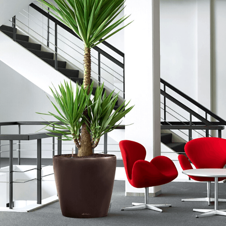 Duża donica okrągła Lechuza Classico wys. 55x60 cm, antracyt