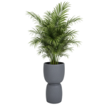 Donica do salonu Duala wys. 54x30 cm, antracyt