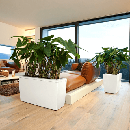 Podłużna prostokątna donica Lechuza Cararo wys. 43x75 cm, antracyt