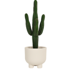 Donica na nóżkach Roto wys. 42x48 cm, kremowy