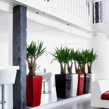 Wysoka donica Lechuza Cubico Premium wys. 41x22 cm, czarna