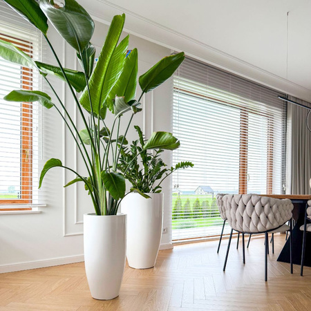 Wysoka donica okrągła z włókna szklanego Tulip wys. 62 cm średnica 32 cm, szary mat