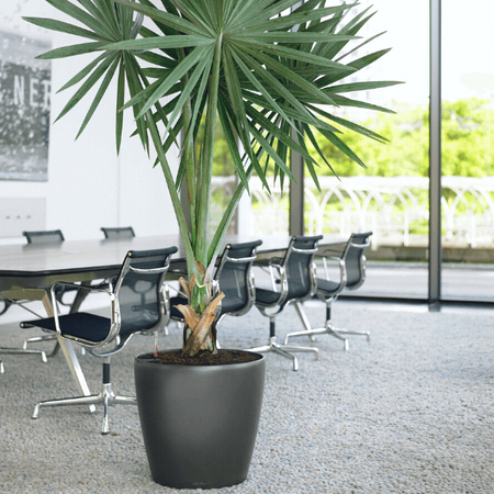 Okragła doniczka Lechuza Classico 46 cm, antracyt