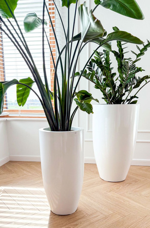 Wysoka donica okrągła z włókna szklanego Tulip wys. 62 cm średnica 32 cm, czarna