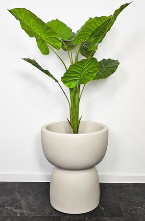 Donica do salonu Duala szeroka wys. 55x47 cm, kremowa