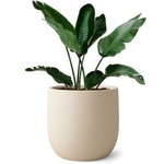 Duża donica ogrodowa Fero wys. 55x60 cm , kremowa