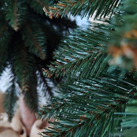 Choinka na pniu Świerk Górski 110 cm