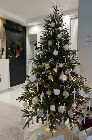 Choinka sztuczna ze stelażem Świerk Imperial 220 cm LIMITOWANA PE+PVC