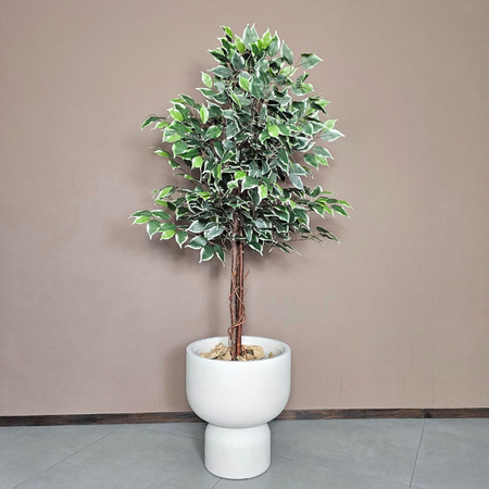 Sztuczna roślina dekoracyjna – Fikus benjamin w doniczce 130 cm